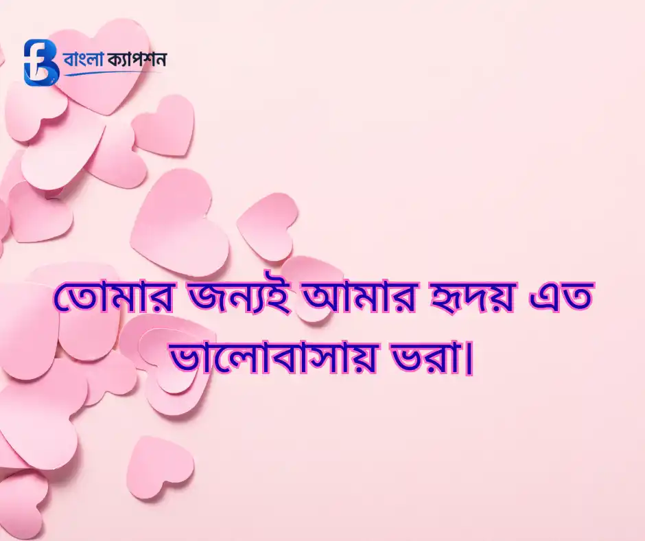 বউকে রোমান্টিক মেসেজ