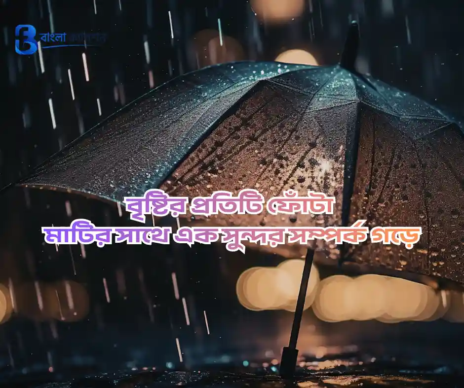 বৃষ্টি নিয়ে ক্যাপশন