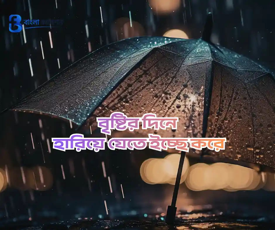 বৃষ্টি নিয়ে ক্যাপশন