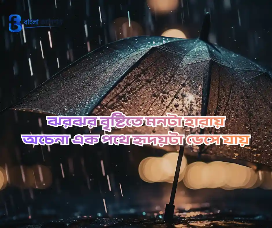 বৃষ্টি নিয়ে ক্যাপশন