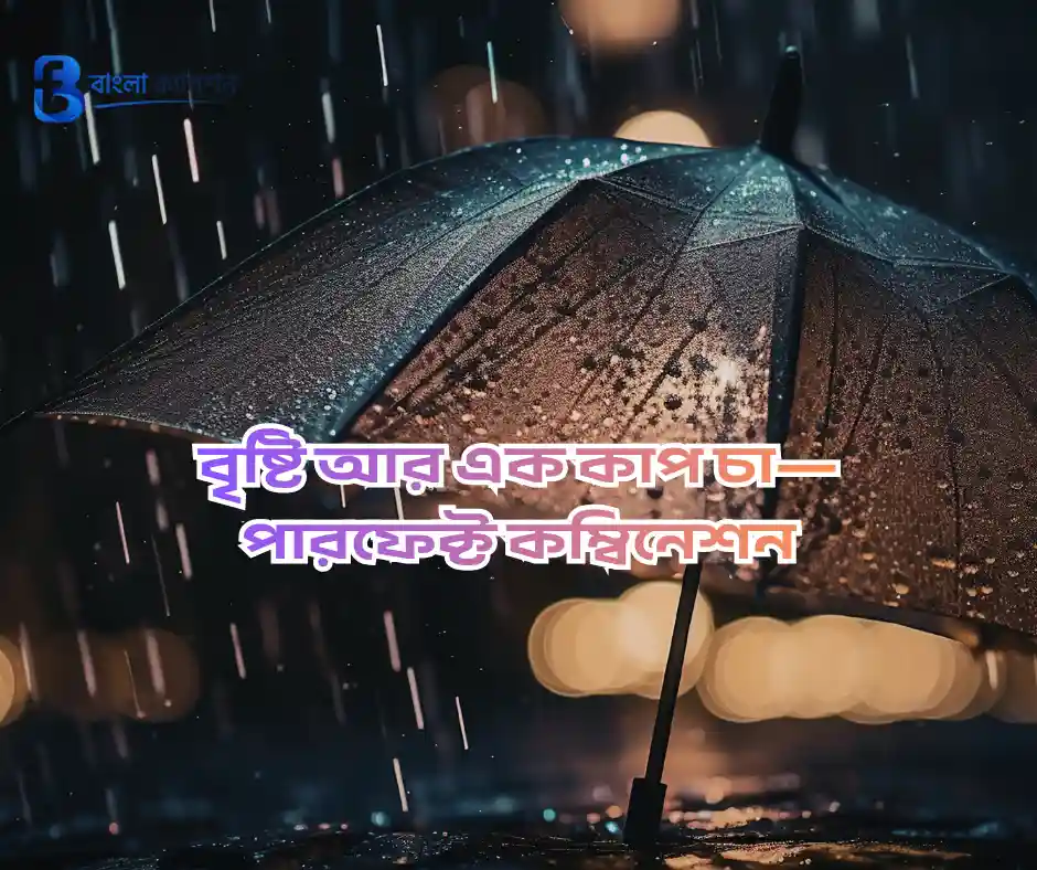 বৃষ্টি নিয়ে ক্যাপশন
