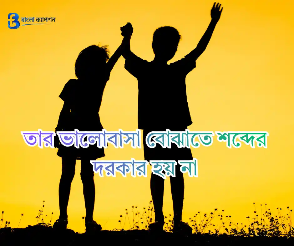 ভাই নিয়ে ক্যাপশন