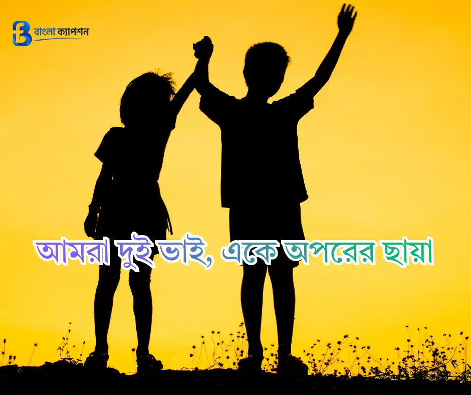 ভাই নিয়ে ক্যাপশন