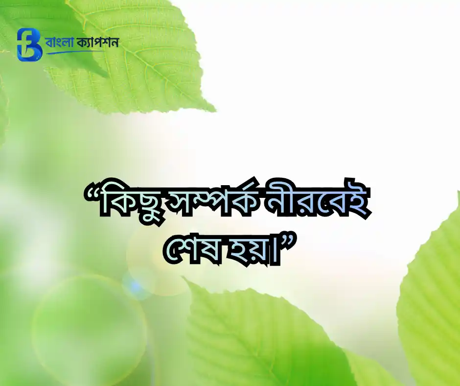 “নীরব মানুষদের গল্প সবচেয়ে গভীর।”