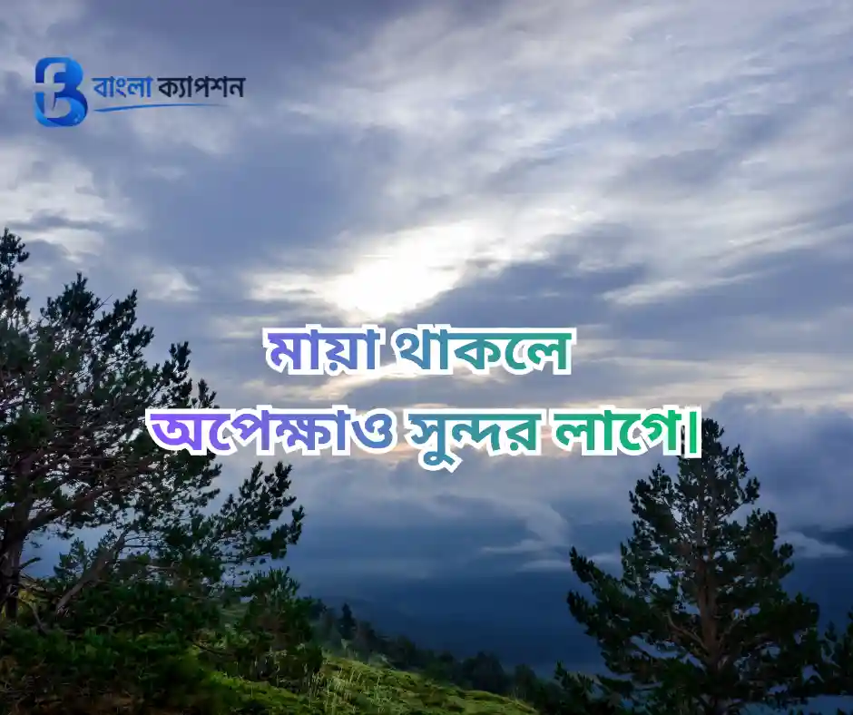 মায়া নিয়ে উক্তি