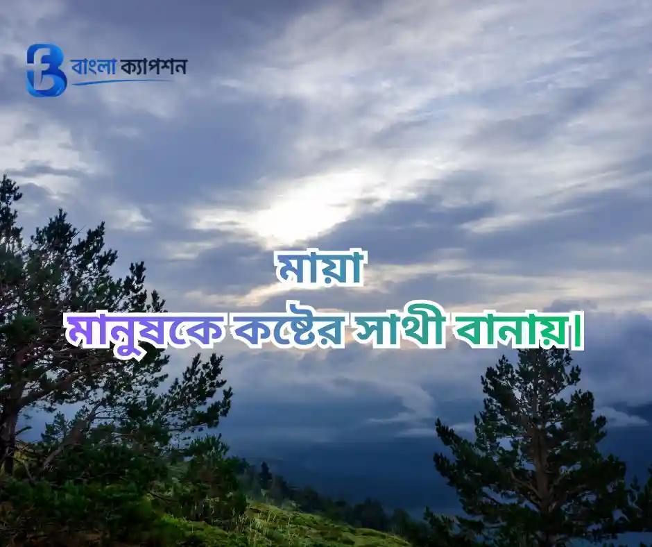 মায়া নিয়ে উক্তি