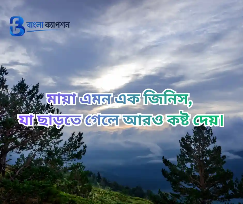 মায়া নিয়ে উক্তি