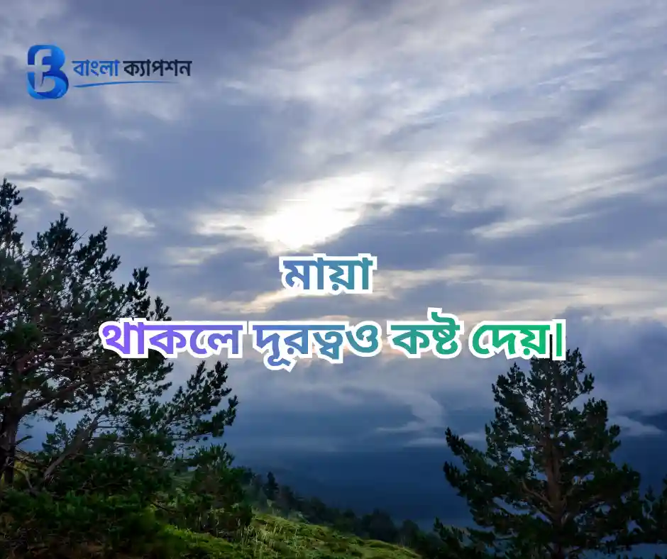 মায়া নিয়ে উক্তি