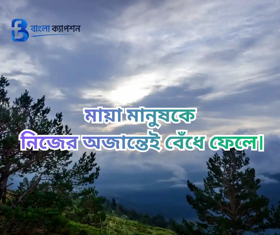 মায়া নিয়ে উক্তি