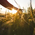 মায়া নিয়ে উক্তি