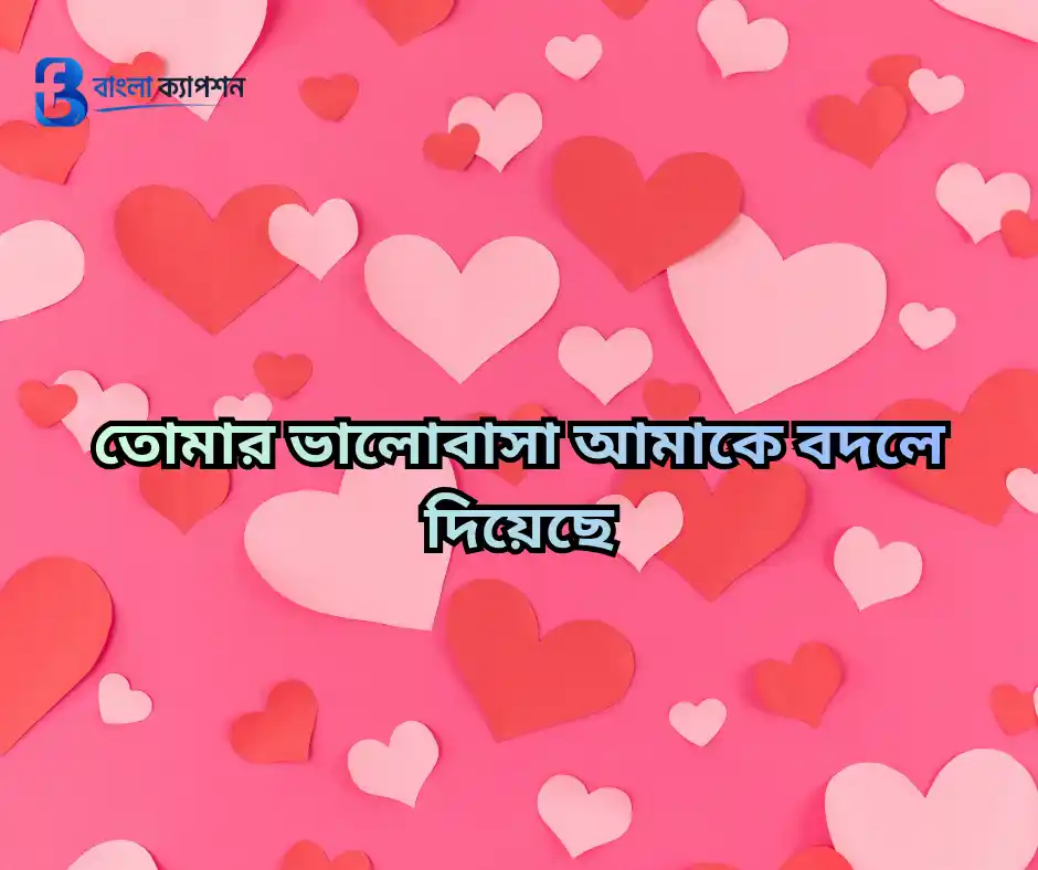 মিষ্টি প্রেমের ছন্দ