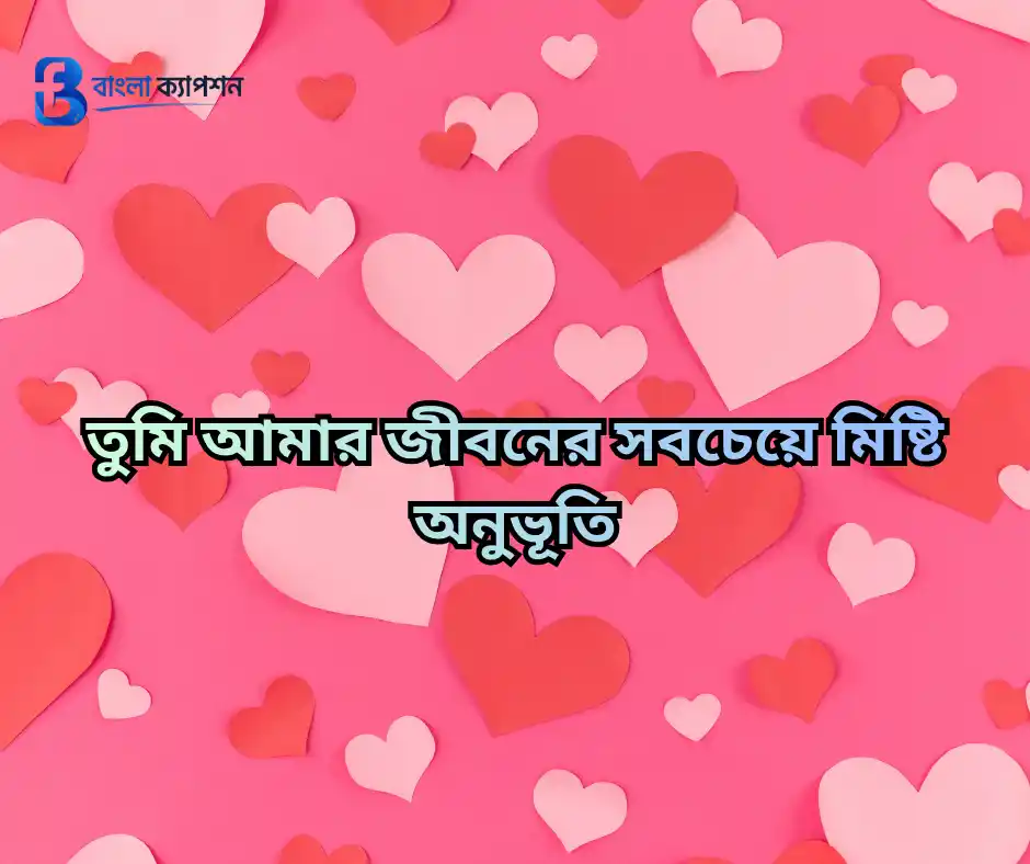 মিষ্টি প্রেমের ছন্দ