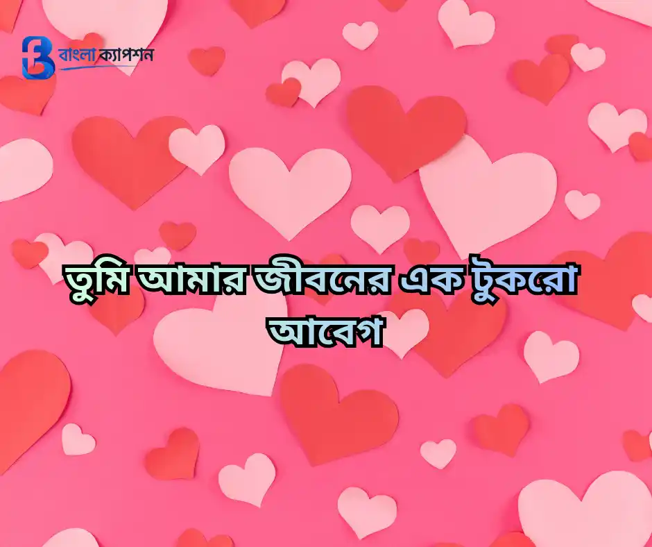 মিষ্টি প্রেমের ছন্দ
