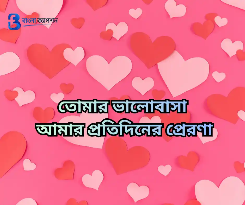 মিষ্টি প্রেমের ছন্দ