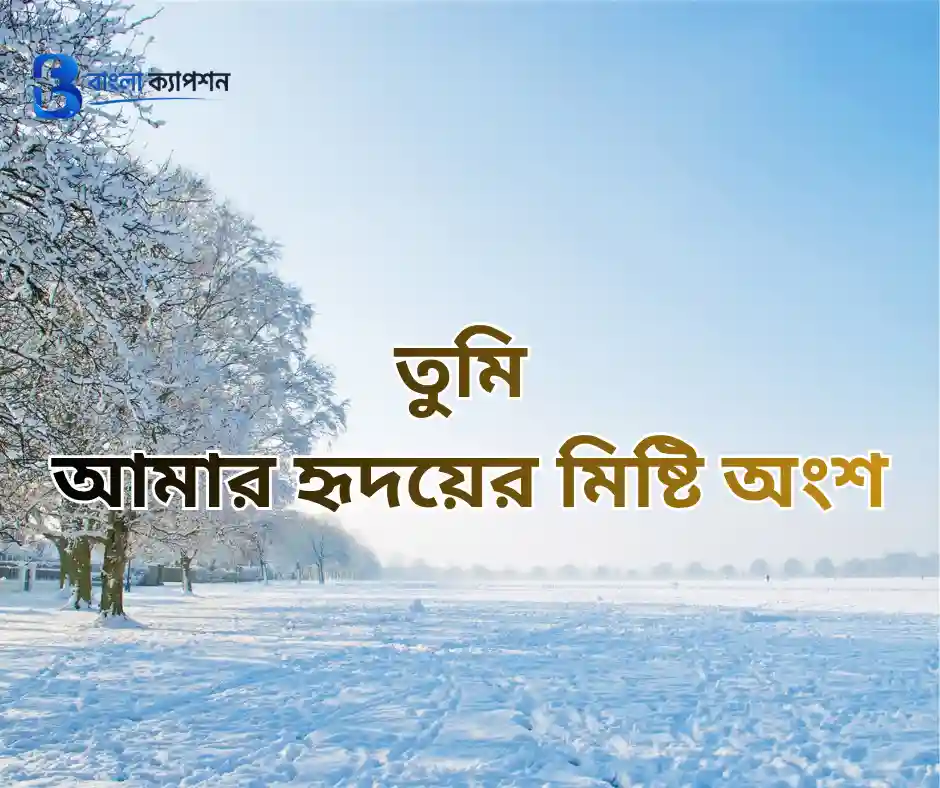 রোমান্টিক বাংলা ক্যাপশন