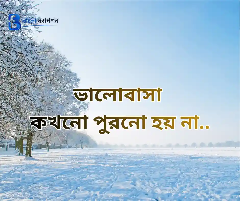 রোমান্টিক বাংলা ক্যাপশন