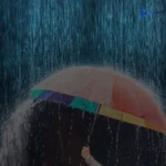 বৃষ্টি নিয়ে ক্যাপশন