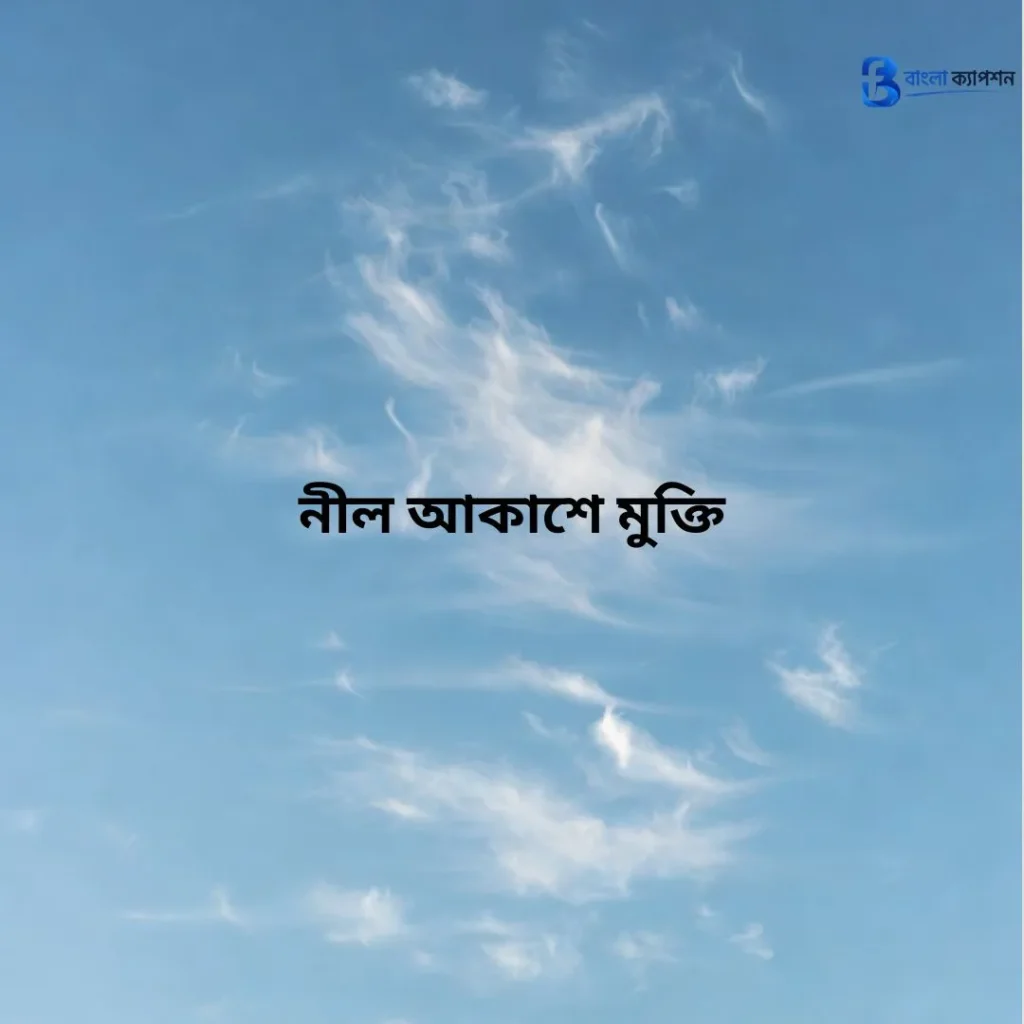 নীল আকাশ নিয়ে ক্যাপশন