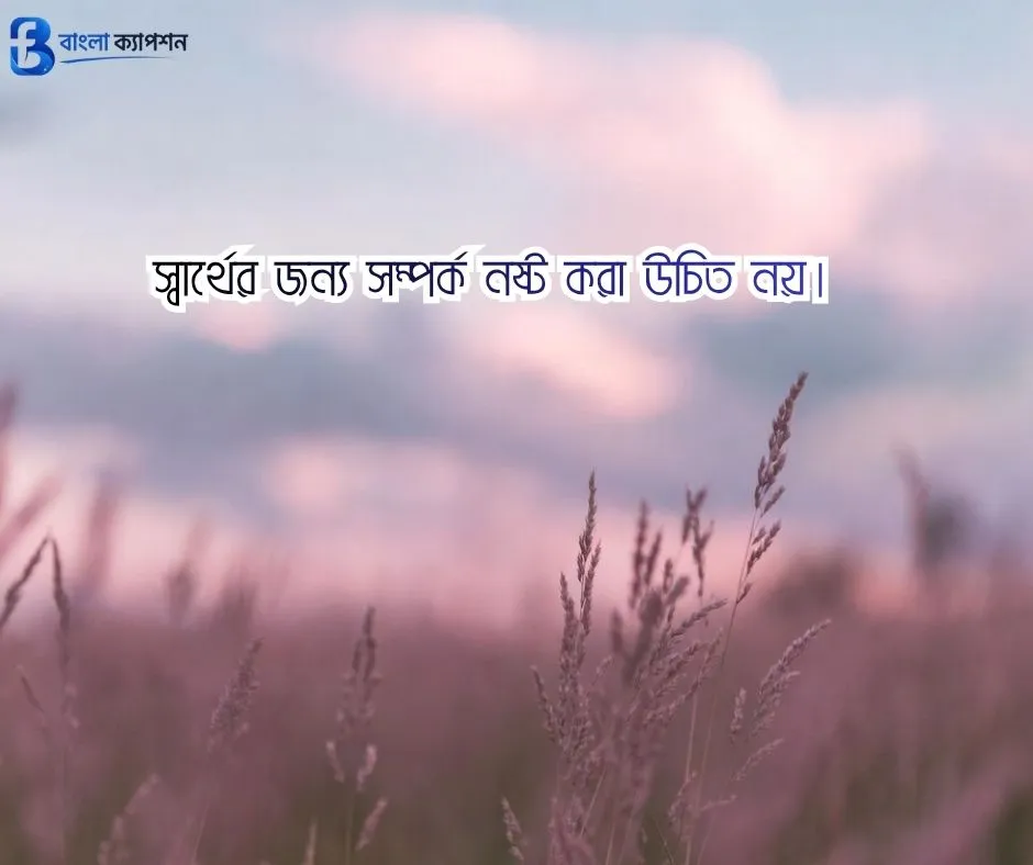 স্বার্থপর মানুষ নিয়ে স্ট্যাটাস