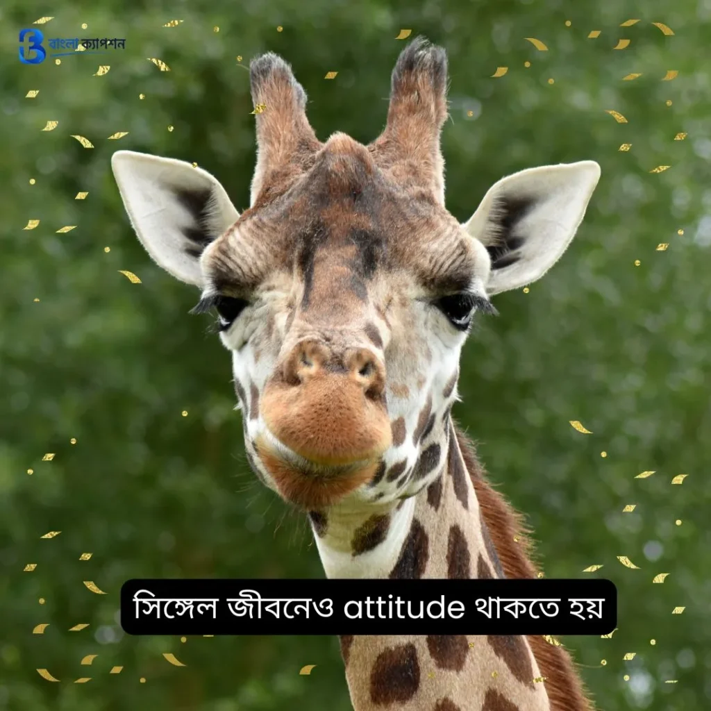 বাংলা ফানি স্ট্যাটাস