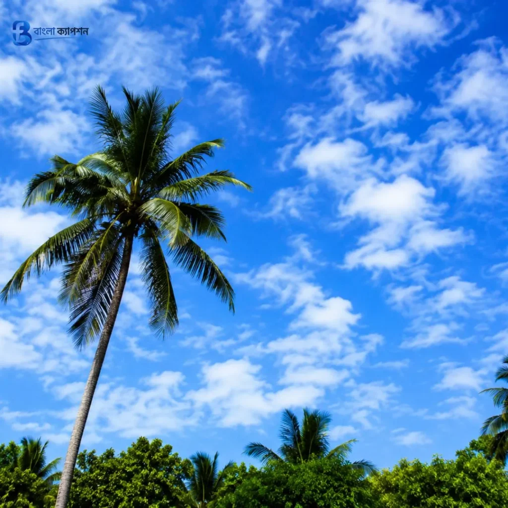 নীল আকাশ নিয়ে ক্যাপশন