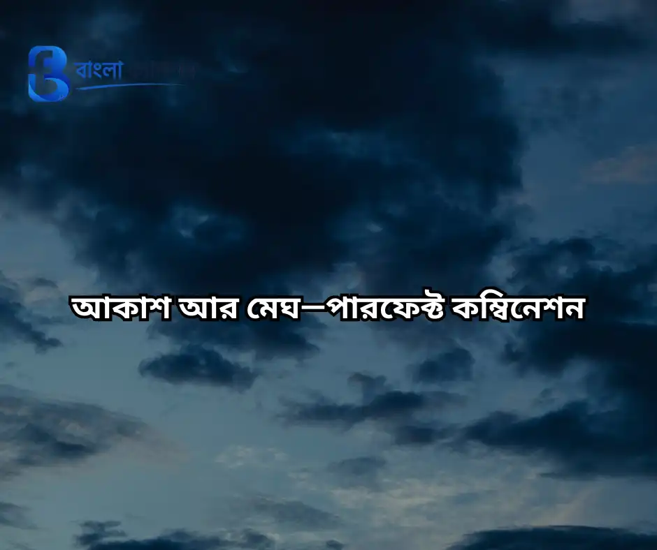 নীল আকাশ নিয়ে ক্যাপশন