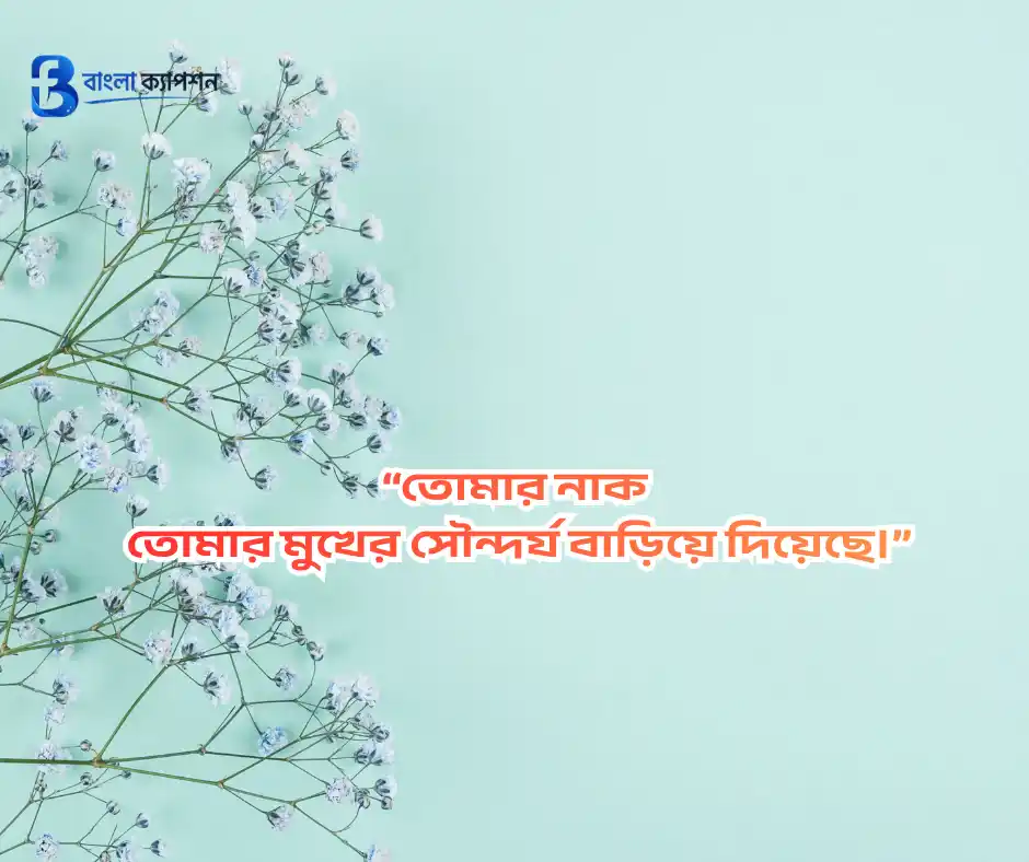 মেয়েদের প্রশংসা করার মেসেজ