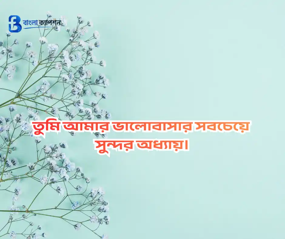মেয়েদের প্রশংসা করার মেসেজ
