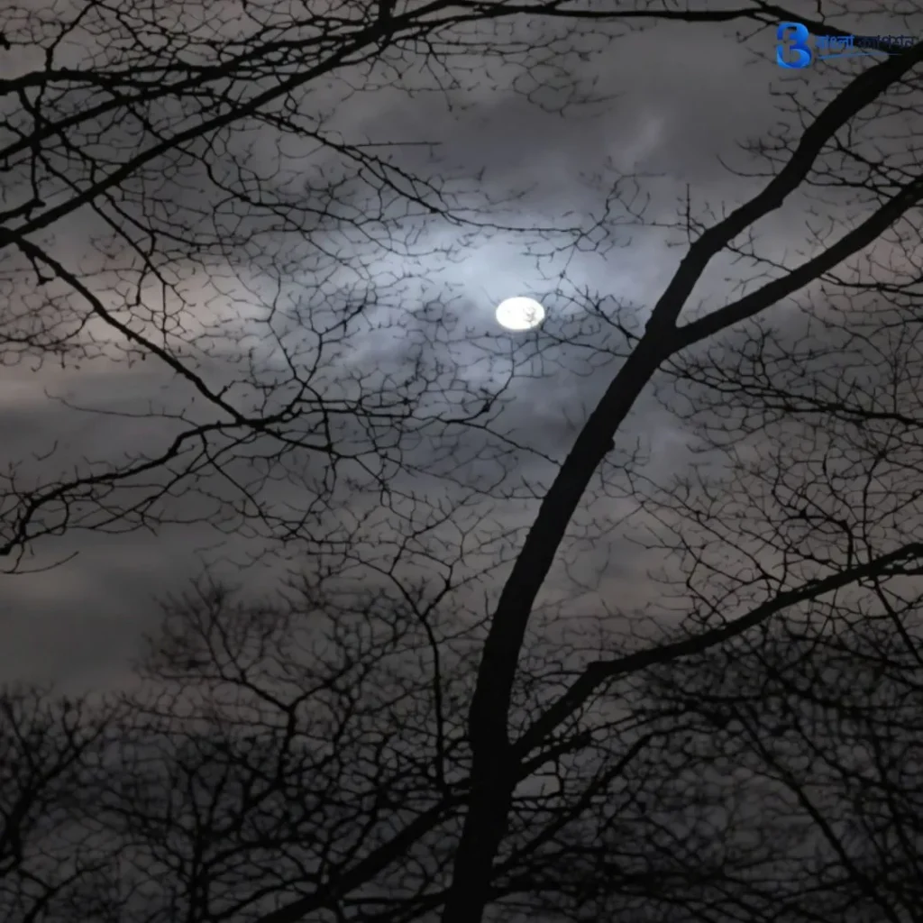 রাত নিয়ে ক্যাপশন