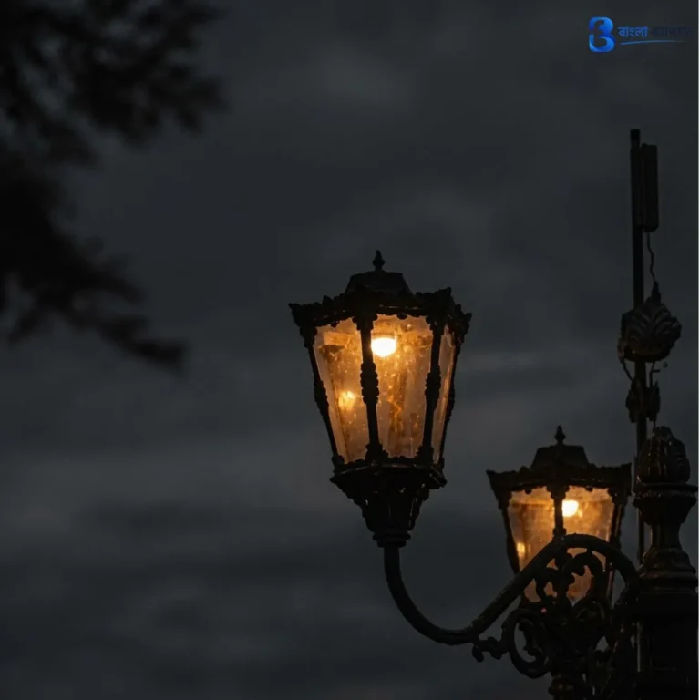 রাত নিয়ে ক্যাপশন